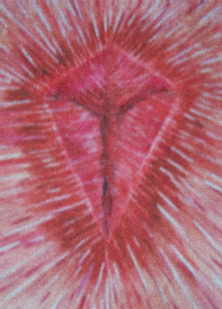 Image of Jesus - Low Res. Image of Jesus - Low Res.